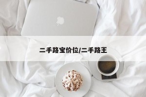 二手路宝价位/二手路王