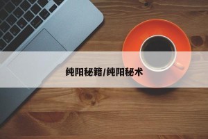 纯阳秘籍/纯阳秘术