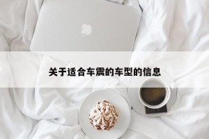 关于适合车震的车型的信息