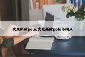 大众新款polo/大众新款polo小糯米