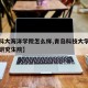 【青科大海洋学院怎么样,青岛科技大学海洋学院研究生院】